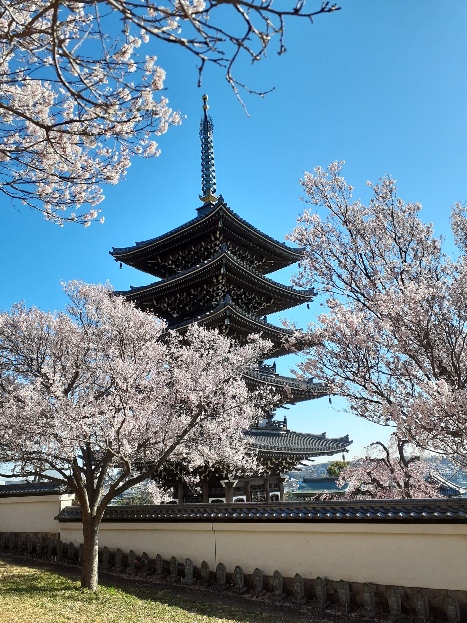おしらせ 香林寺（神奈川県川崎市）